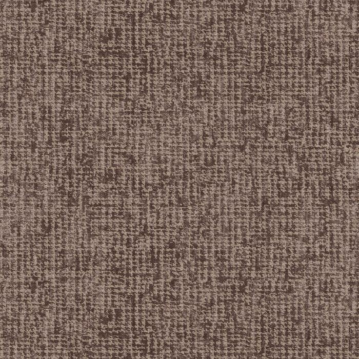 Baghera Clan 11 Baghera Clan 11