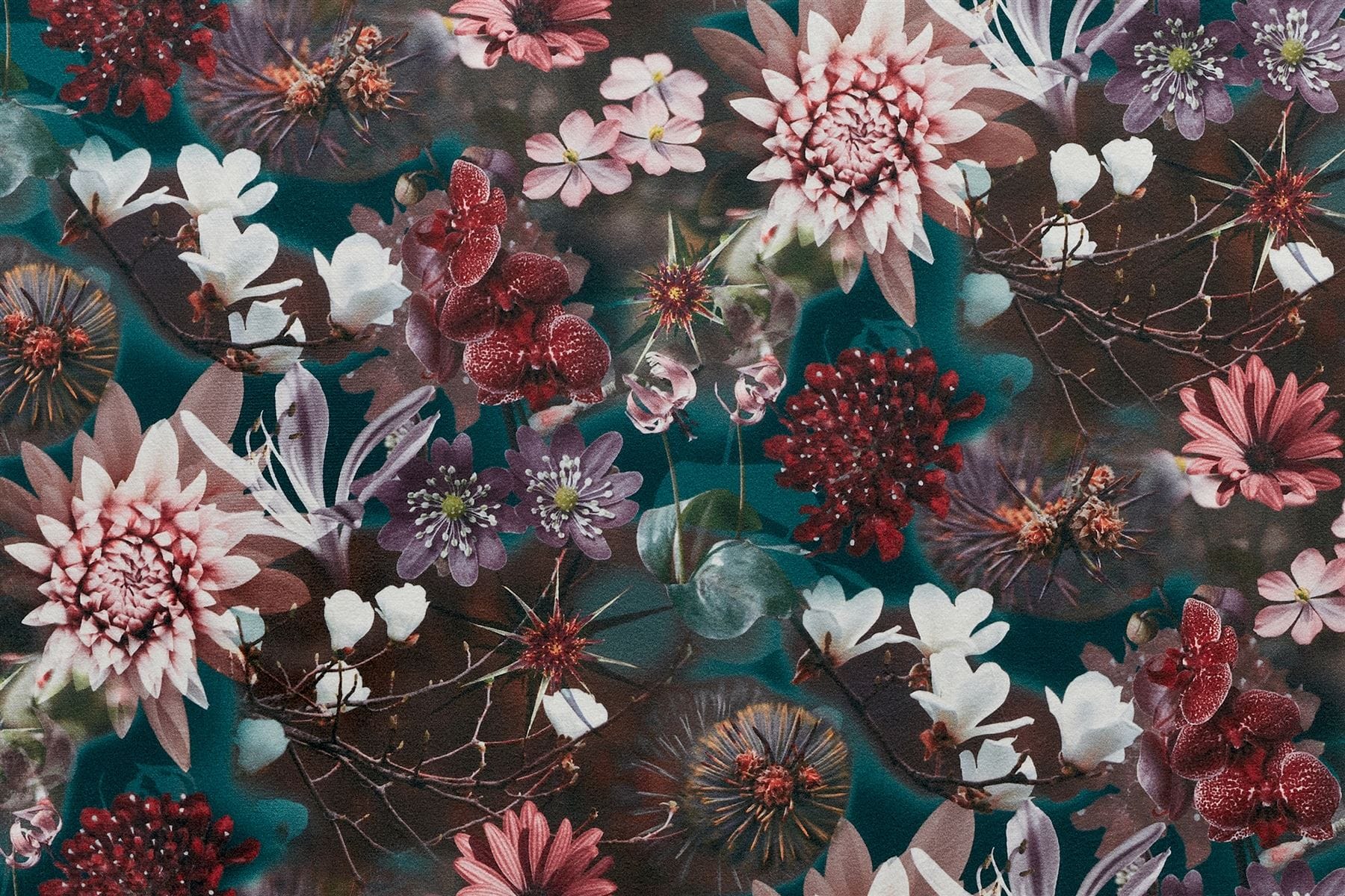 Backus Nala 1004 Backus Nala 1004